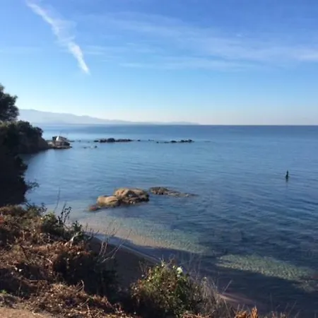 D'exception, Piscine, Vue Mer, A 100m Ajaccio (Corsica)